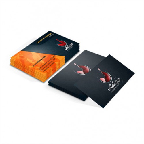 1.000 - Cartão de Visitas - 300g - 4/4